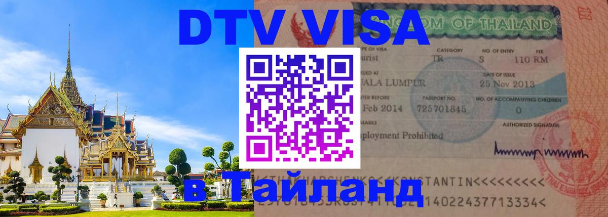 Сколько стоит DTV виза — актуальные цены, оформление даже без документов - Сургут 